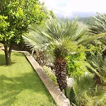 Marivo