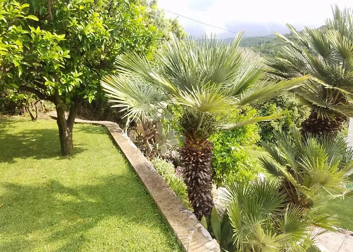 Marivo