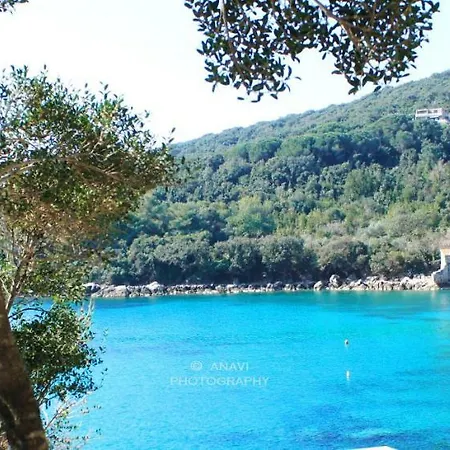 Marivo Molunat